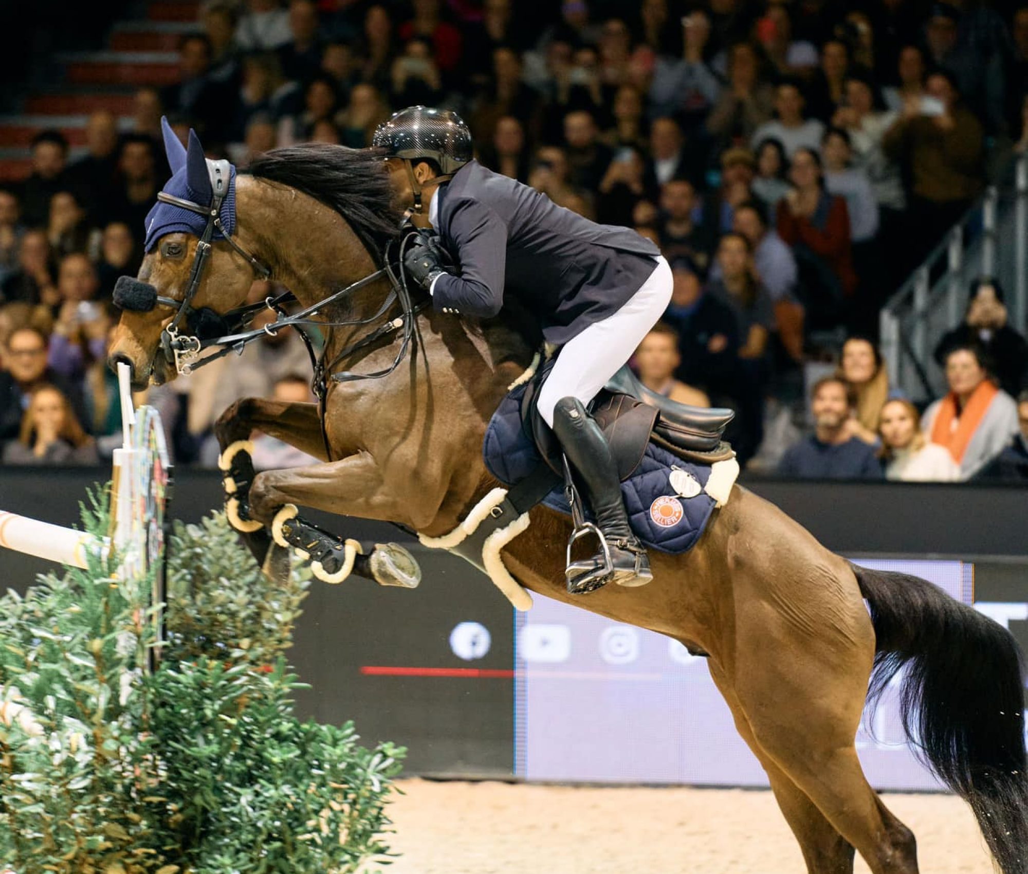 Simon DELESTRE Cayman Jolly Jumper Simon DELESTRE Cayman Jolly Jumper